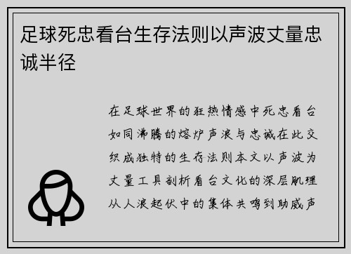 足球死忠看台生存法则以声波丈量忠诚半径